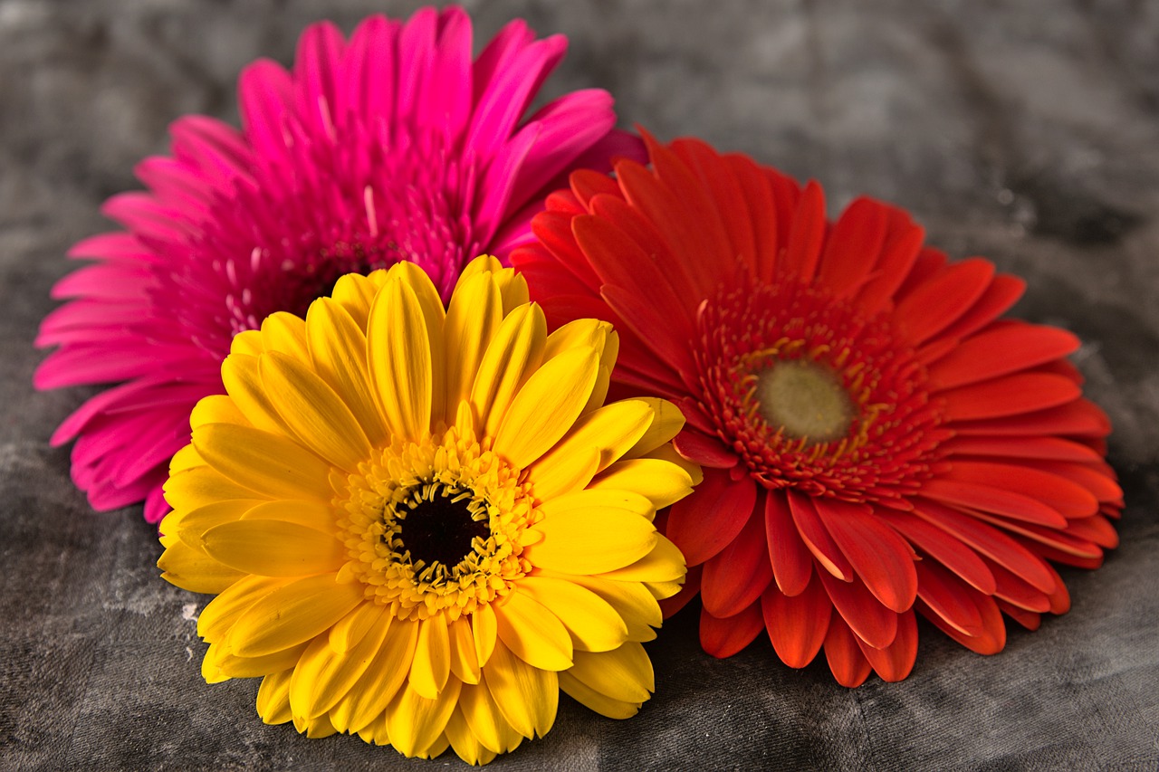 一輪挿し用の花はどこで買う おすすめの種類や買い方を紹介