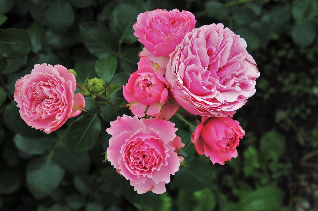 一輪挿し用の花はどこで買う おすすめの種類や買い方を紹介