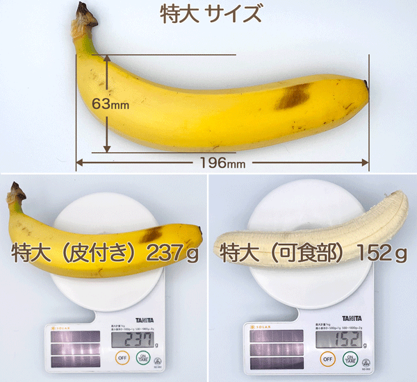 バナナ特大サイズ 縦63mm 横196mm 重量 皮付き237g 可食部152g