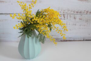 ニトリの造花おすすめ5選 あなたのお部屋に彩りを添えてみませんか