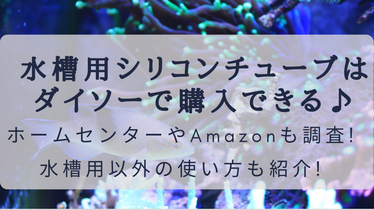 シリコンチューブはダイソーで買える ホームセンターやamazonも調査