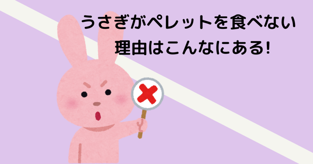 うさぎがペレットを食べない原因は 対策とおすすめペレットも大公開 うさぎがペレットを食べない原因は 対策とおすすめペレットも大公開