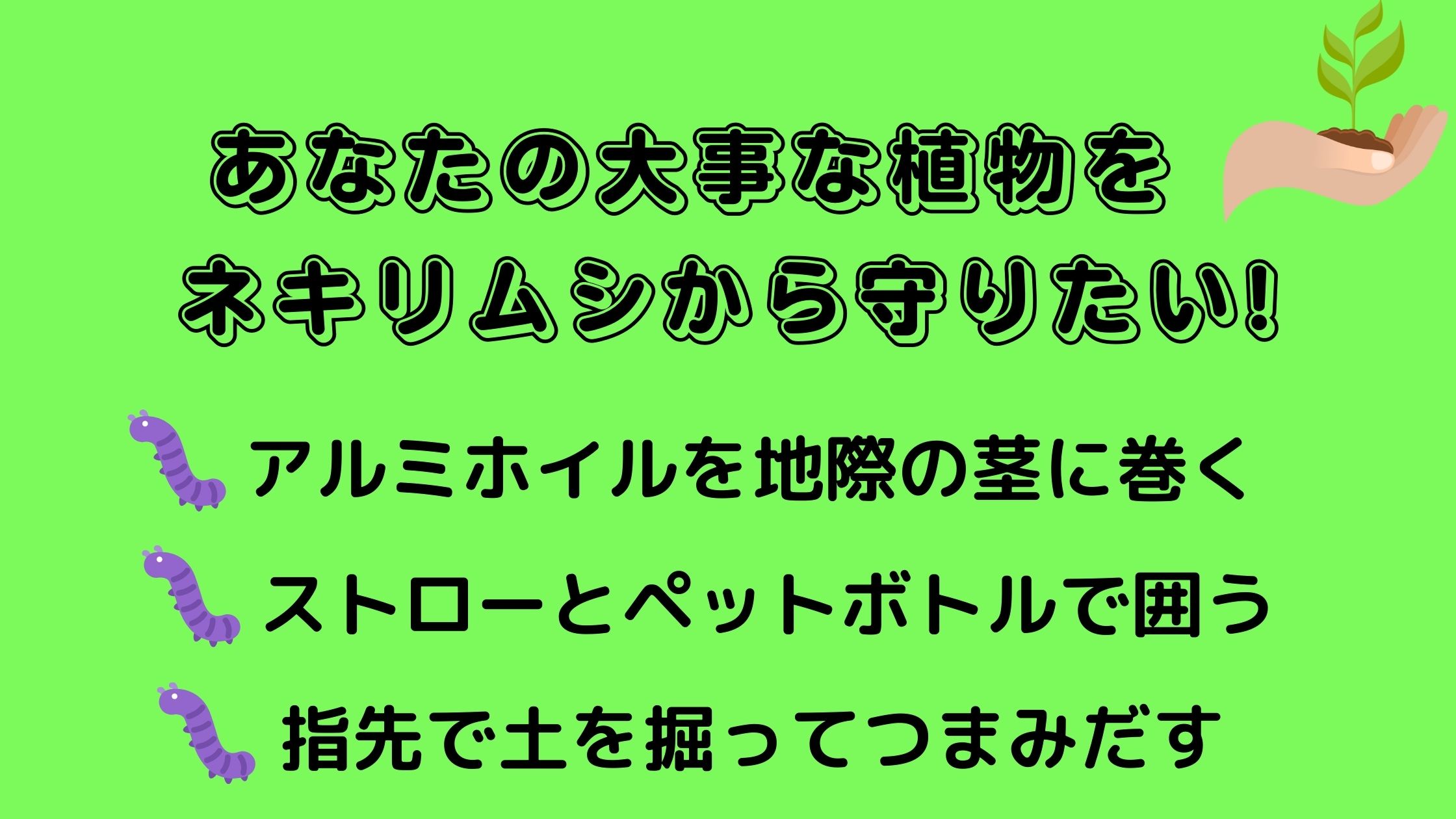 ネキリムシ対策にアルミホイルは有効 コガネムシ対策との違いは