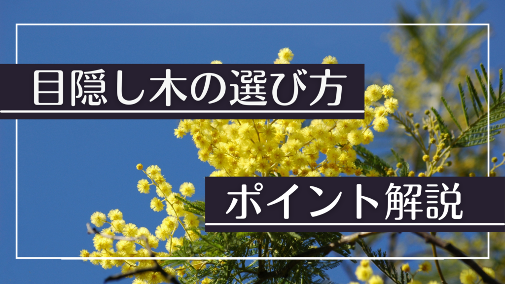 目隠し木には虫がつかない木を植えよう 選び方とおすすめ樹木を紹介