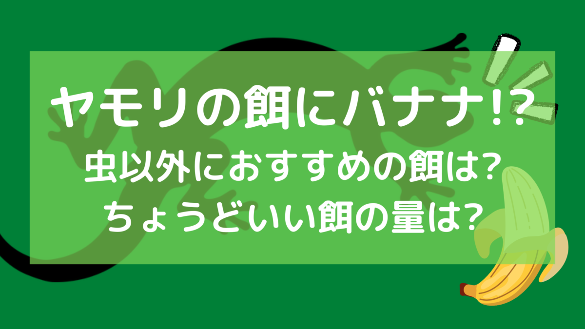 ヤモリの餌にバナナはok 虫以外の餌や適切な量 頻度も紹介